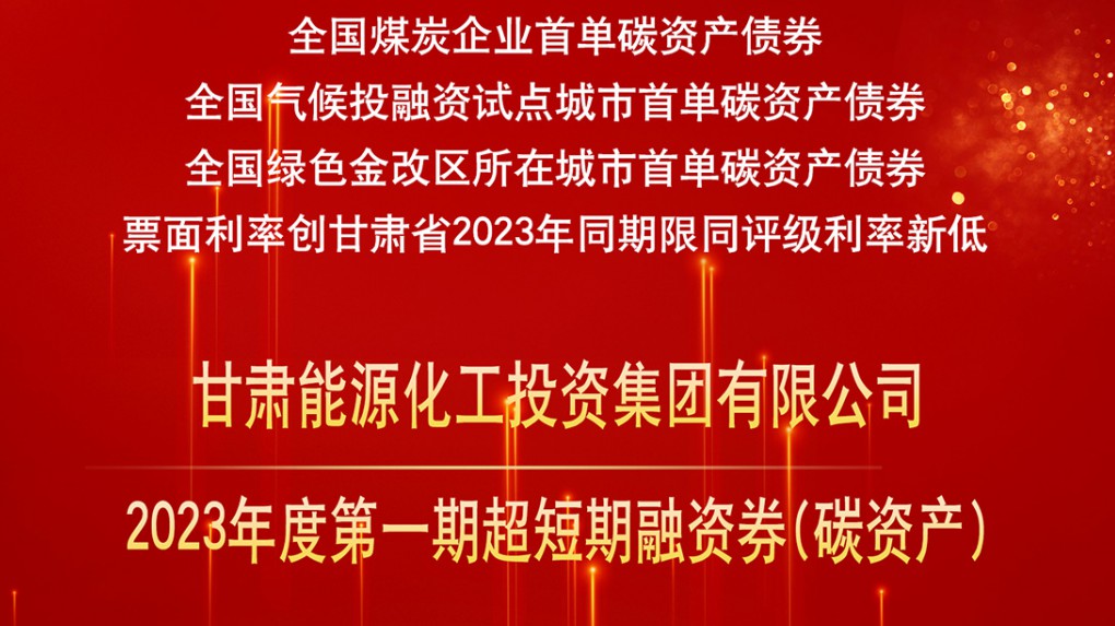 Ͷ������